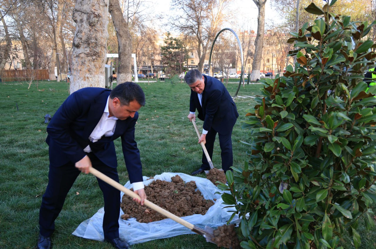 "Yashil makon" loyihasi doirasida