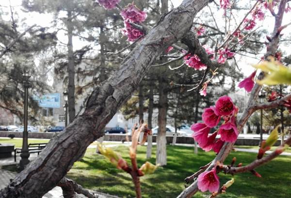 Yurt obodligi, avvalo, mahalladan boshlanadi!